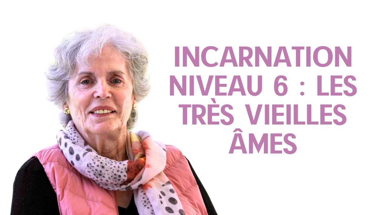 Épisode 35 de Linda Perrat : Incarnation Niveau 6 · 20 366 vues